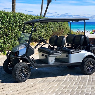Quicksilver Golf Cart